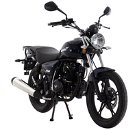 ZSB 125 For Sale